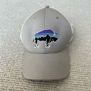 Patagonia adjustable hat